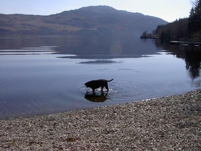 Tigh Na Bruach B&B Invermoriston Bagian luar foto